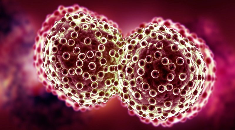 Cancer Cells L