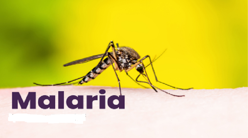 Malaria